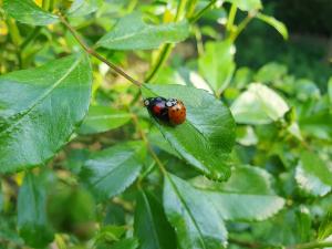 Annelies 06 - Gezellig